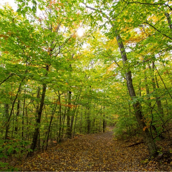 Happy Autumn into Winter!🌷 - Picture 13 of 16